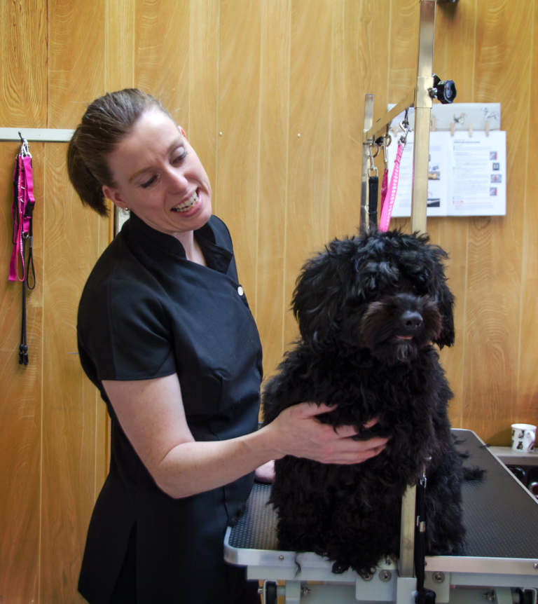 After 21 yrs as a police officer, Lisa opens The Dog Grooming Shed in ...
